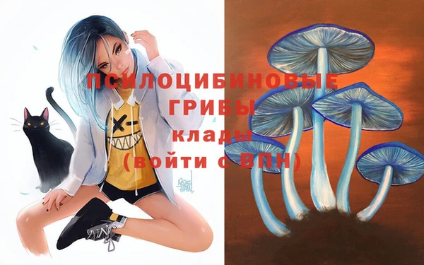 мяу мяу мука Вязники