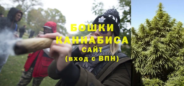 стафф Вяземский