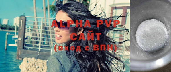 стафф Вяземский