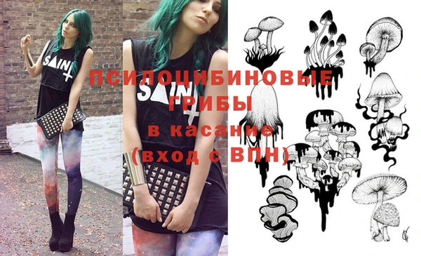 стафф Вяземский