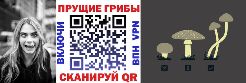 Псилоцибиновые грибы Magic Shrooms продажа наркотиков Воронеж